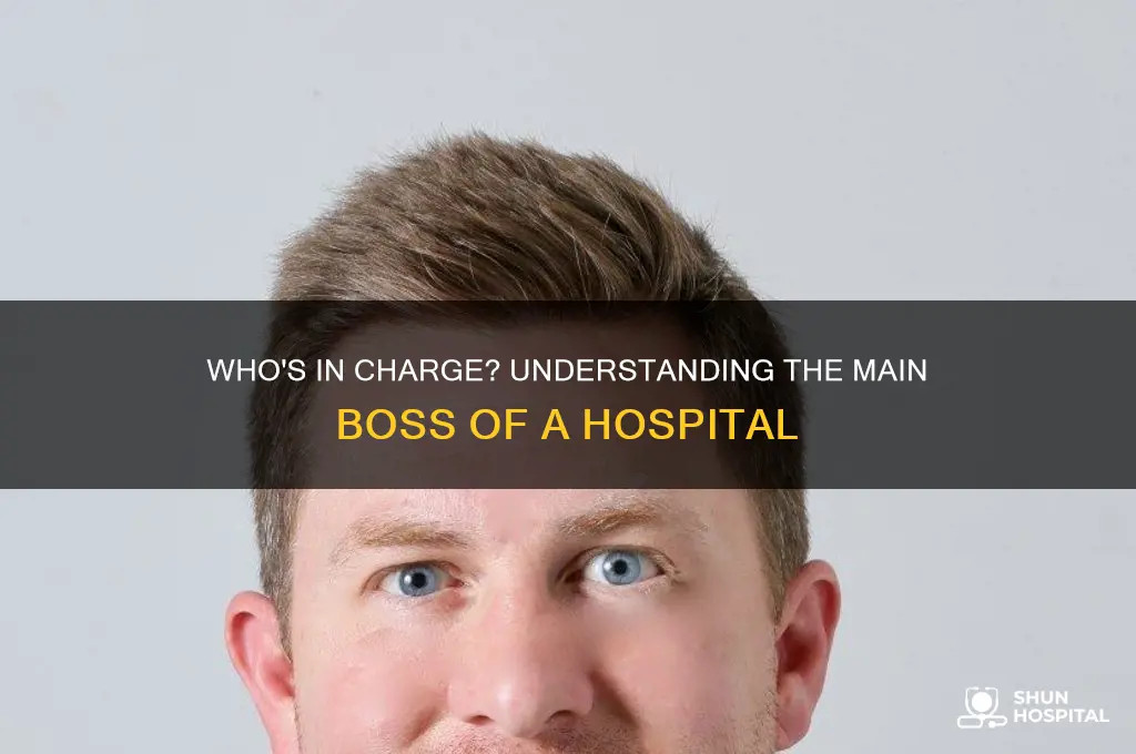 what is the main boss of a hospital called