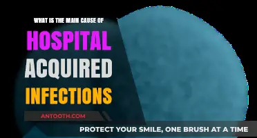 Uncovering the Primary Drivers of Hospital-Acquired Infections: A Deep Dive