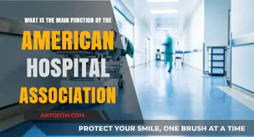 Understanding the American Hospital Association's Core Role and Impact