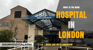 London's Leading Hospital: A Comprehensive Overview