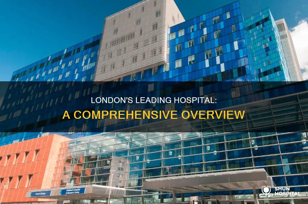 what is the main hospital in london