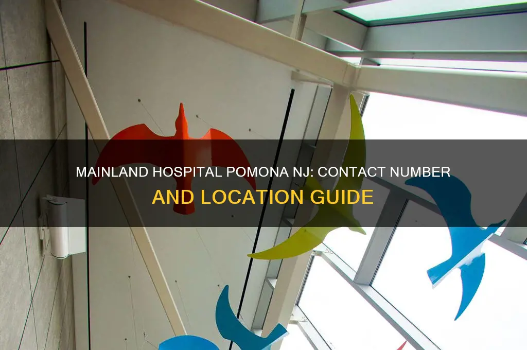 what is the mainland hospital number in pomona new jersey