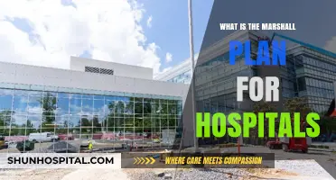 Hospitals' Marshall Plan: A Post-Pandemic Recovery Strategy