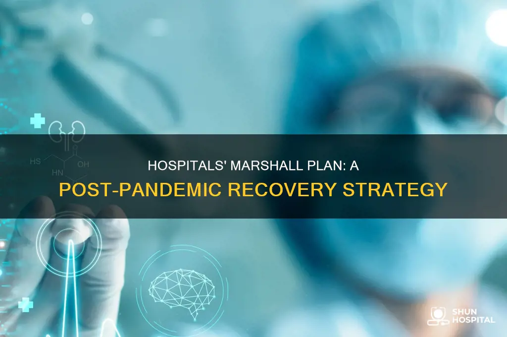what is the marshall plan for hospitals