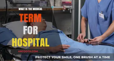 Medical Facilities: Understanding the Term 'Hospital