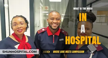 MICU: The Intensive Care Unit for Critically Ill Patients