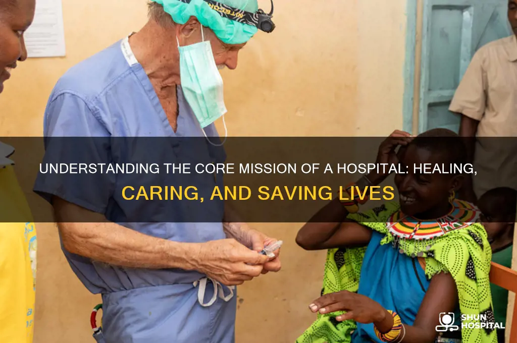 what is the mission of a hospital supposed to be