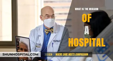 The Core Mission of Hospitals: Healing and Health