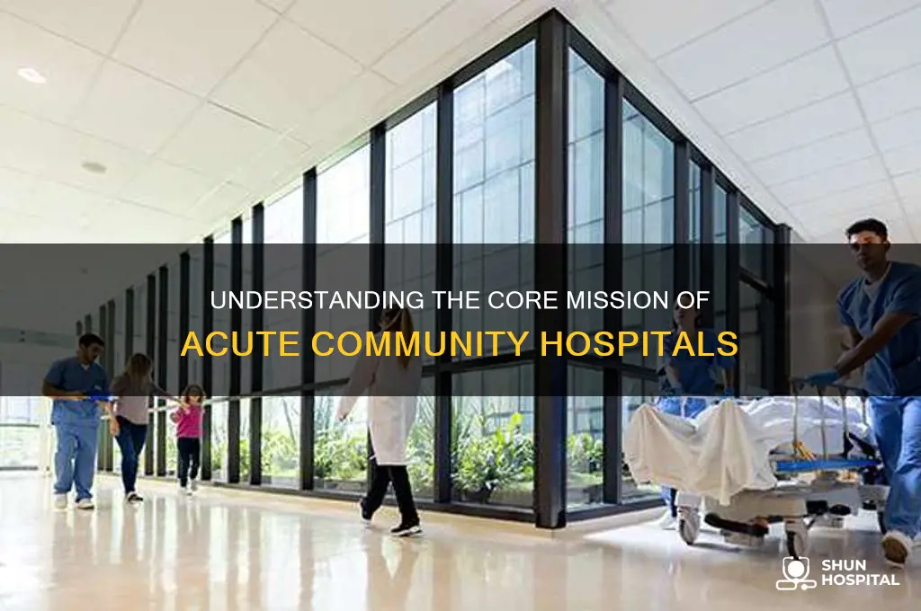 what is the mission of an acute community hospital
