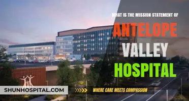 Antelope Valley Hospital's Mission Statement: Purpose, Values, and Commitment Explained