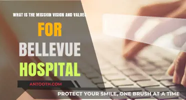 Bellevue Hospital's Mission, Vision, and Core Values Explained