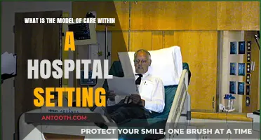 Understanding the Model of Care in Hospital Settings: A Comprehensive Guide