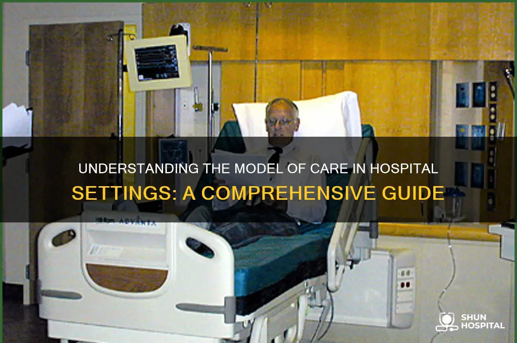 what is the model of care within a hospital setting