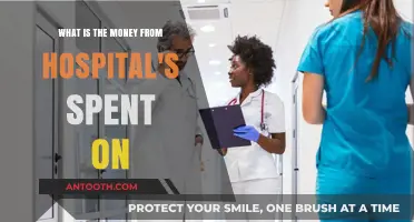 Where Does Hospital Revenue Go? Uncovering Healthcare Spending Priorities