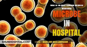 Hospital-Acquired Infections: The Leading Antibiotic-Resistant Microbe Revealed