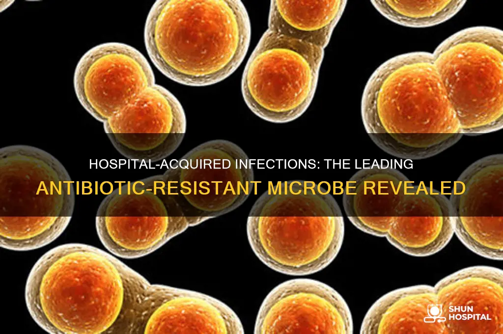 what is the most common antibotic resistance microbe in hospital