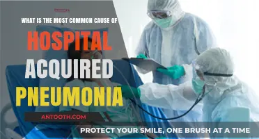Understanding Hospital-Acquired Pneumonia: Leading Causes and Prevention Strategies