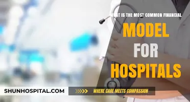 Understanding the Most Common Financial Model for Hospitals