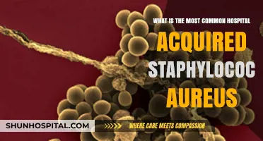 Understanding the Most Common Hospital-Acquired Staphylococcus Aureus Infections