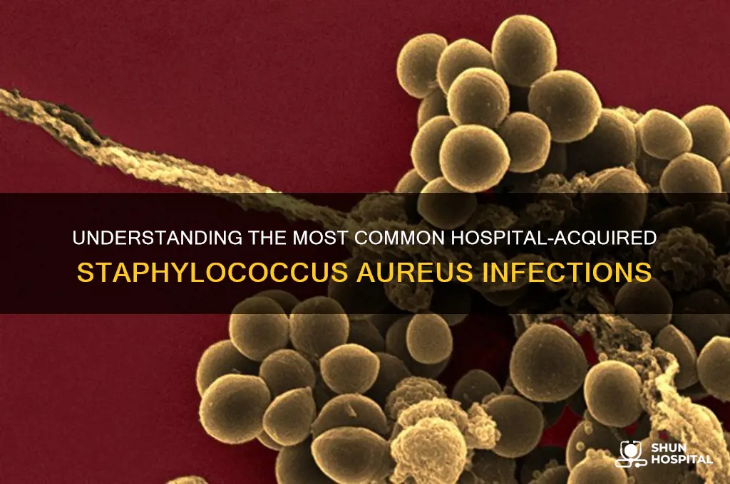 what is the most common hospital acquired staphylococcus aureus