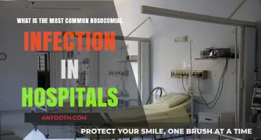 Understanding the Leading Nosocomial Infection Threat in Hospitals Today