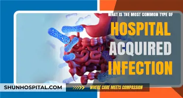 Unveiling the Most Common Hospital-Acquired Infection: Causes and Prevention
