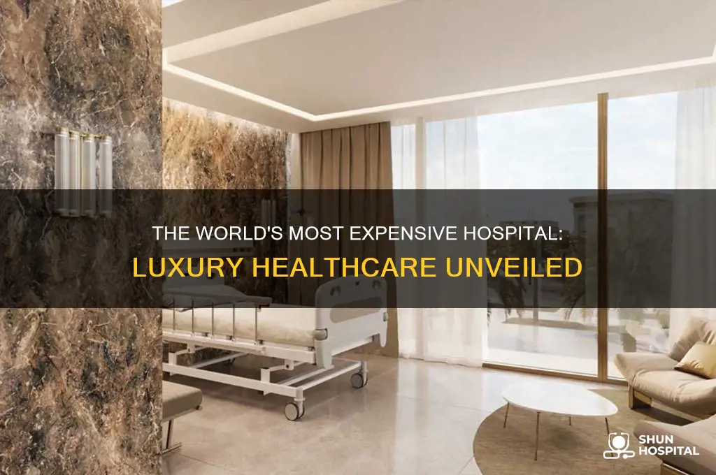 what is the most expensive hospital in the world