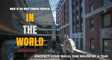 Exploring the World's Most Iconic and Famous Hospital: A Global Landmark