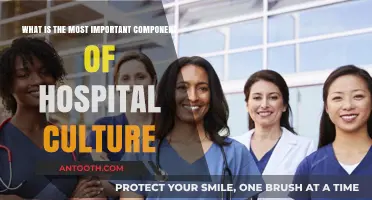Fostering Compassion: The Core Component of Hospital Culture Explained