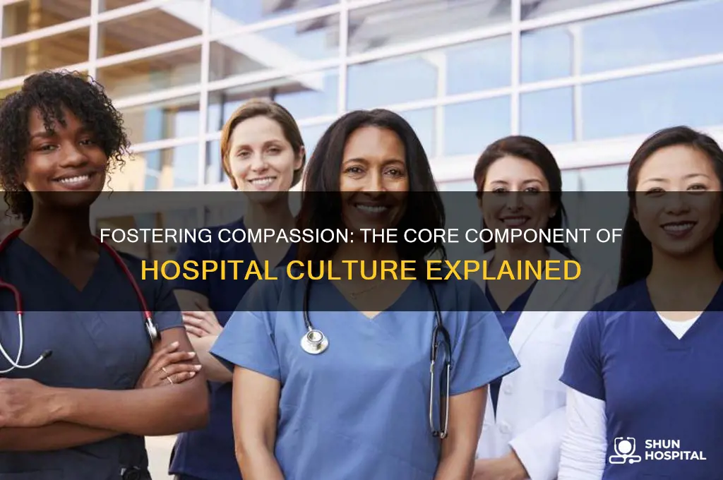 what is the most important component of hospital culture