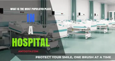 Exploring the Busiest Hub: Where Most People Gather in Hospitals
