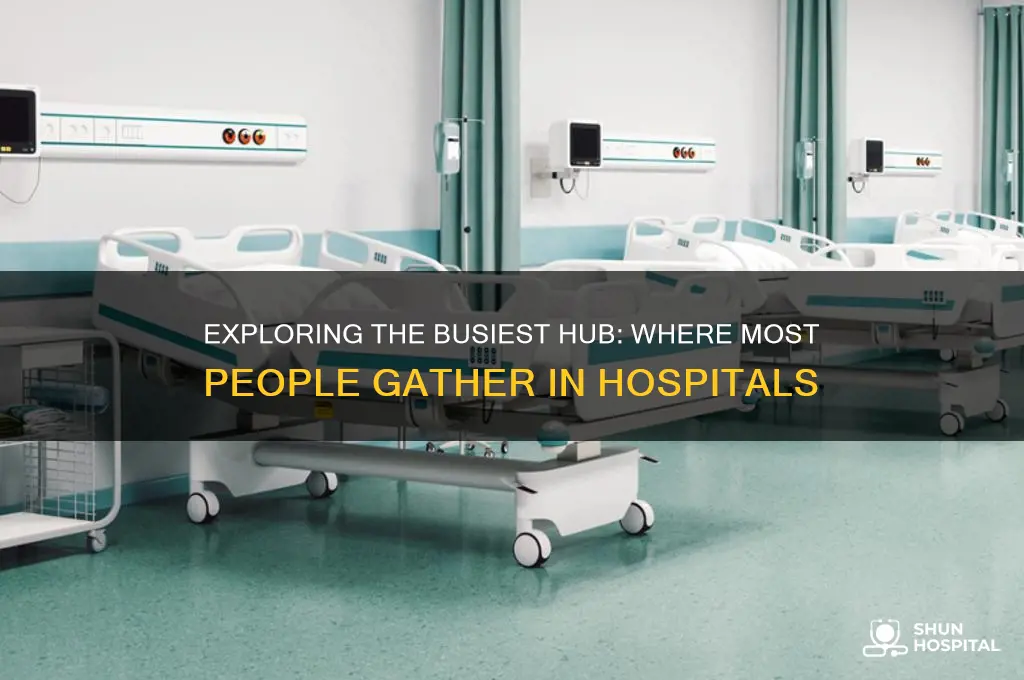 what is the most populated place in a hospital