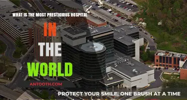 Exploring the World's Most Prestigious Hospital: A Global Healthcare Leader