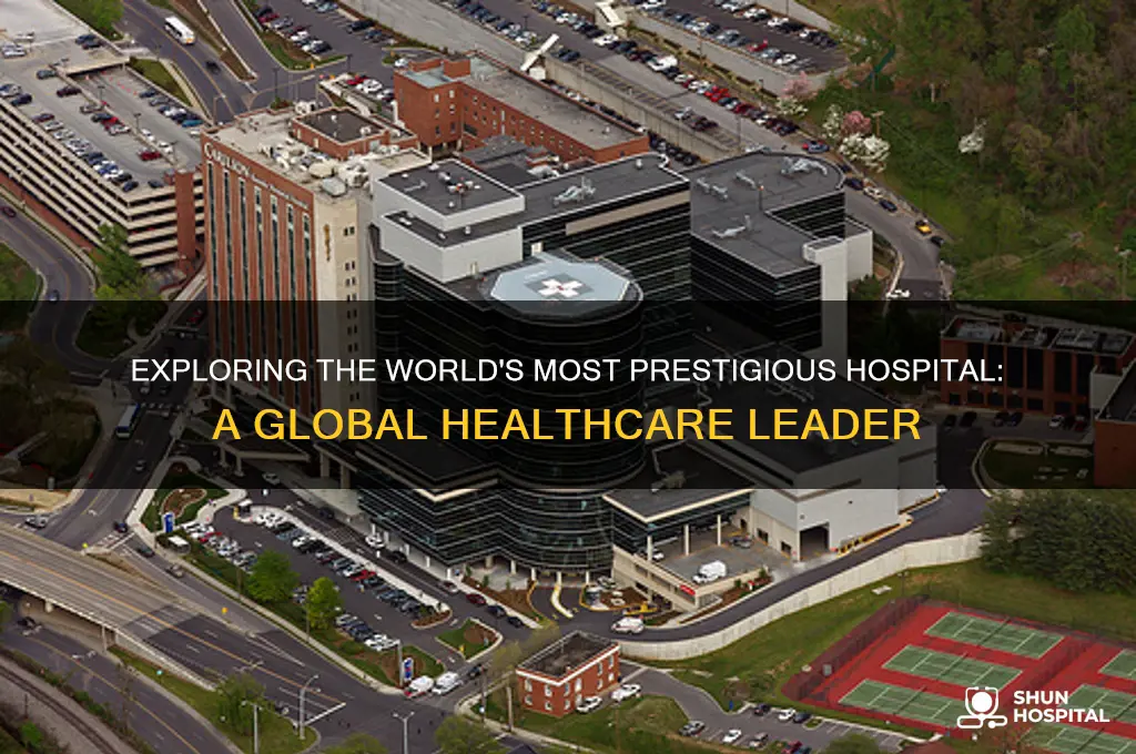 what is the most prestigious hospital in the world