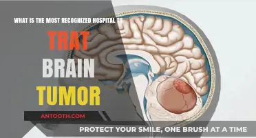 Top Recognized Hospitals for Brain Tumor Treatment Worldwide