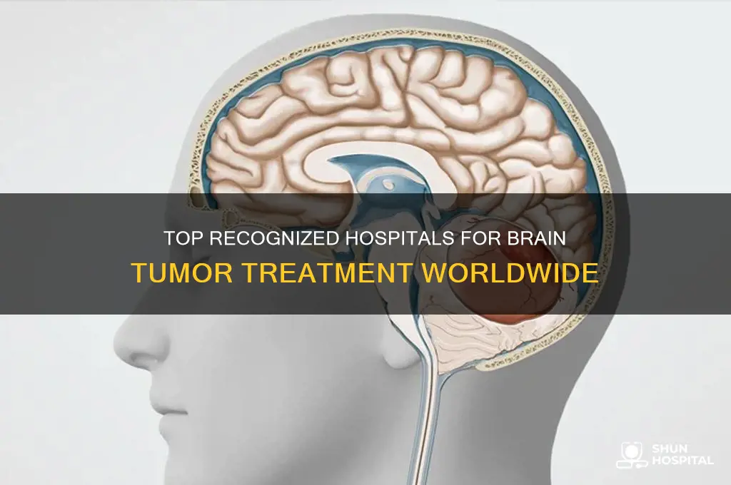 what is the most recognized hospital to trat brain tumor