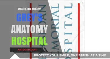 Unveiling the Iconic Name of Grey's Anatomy's Famous Hospital