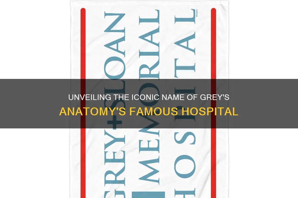 what is the name of grey