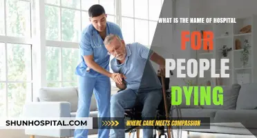 Hospice Care: Understanding Facilities for End-of-Life Patients