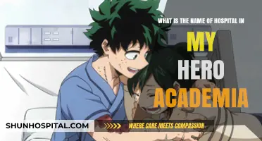 Unveiling the Name of the Hospital in My Hero Academia