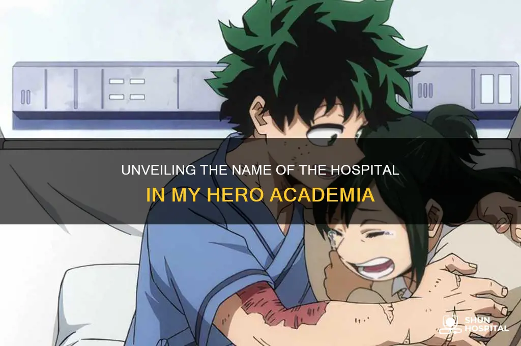 what is the name of hospital in my hero academia