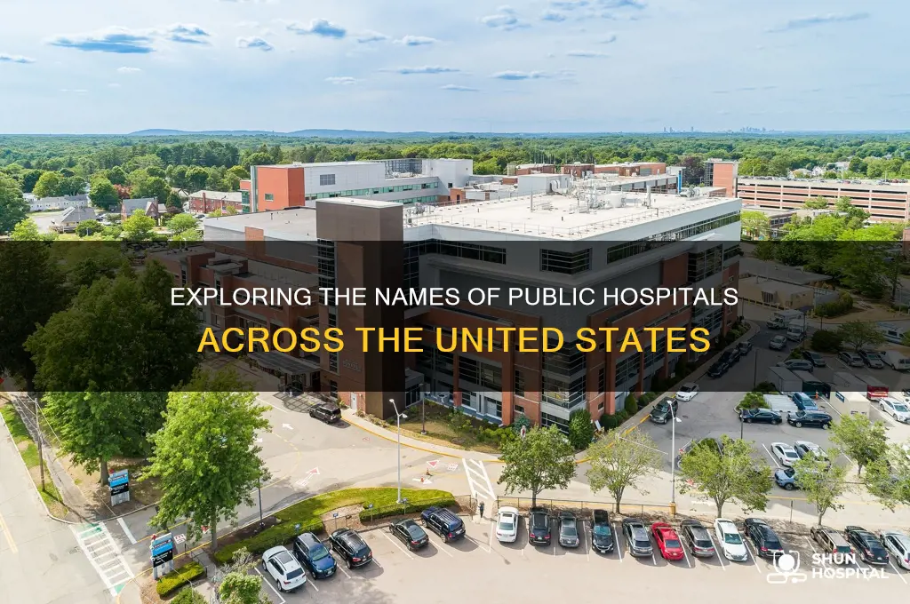 what is the name of public hospitals in the us
