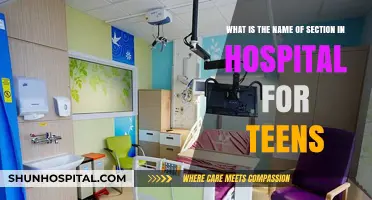 Understanding Adolescent Care: The Specialized Hospital Section for Teens