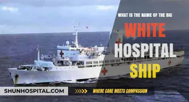 The Big White Hospital Ship: Unveiling Its Name and Mission