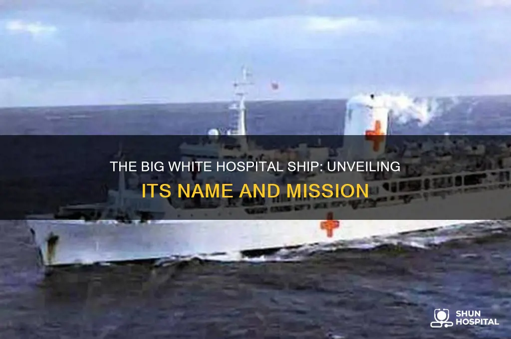 what is the name of the big white hospital ship