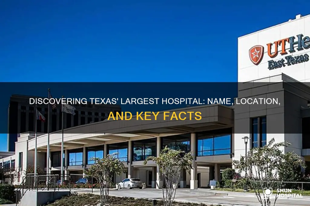 what is the name of the biggest hospital in texas
