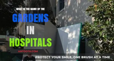 Healing Havens: Exploring the Names of Hospital Gardens