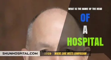 Who Leads the Hospital? Understanding the Role of the Chief Executive