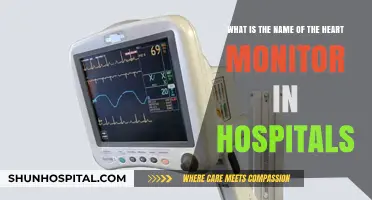 Understanding Hospital Heart Monitors: What’s the Device Called?