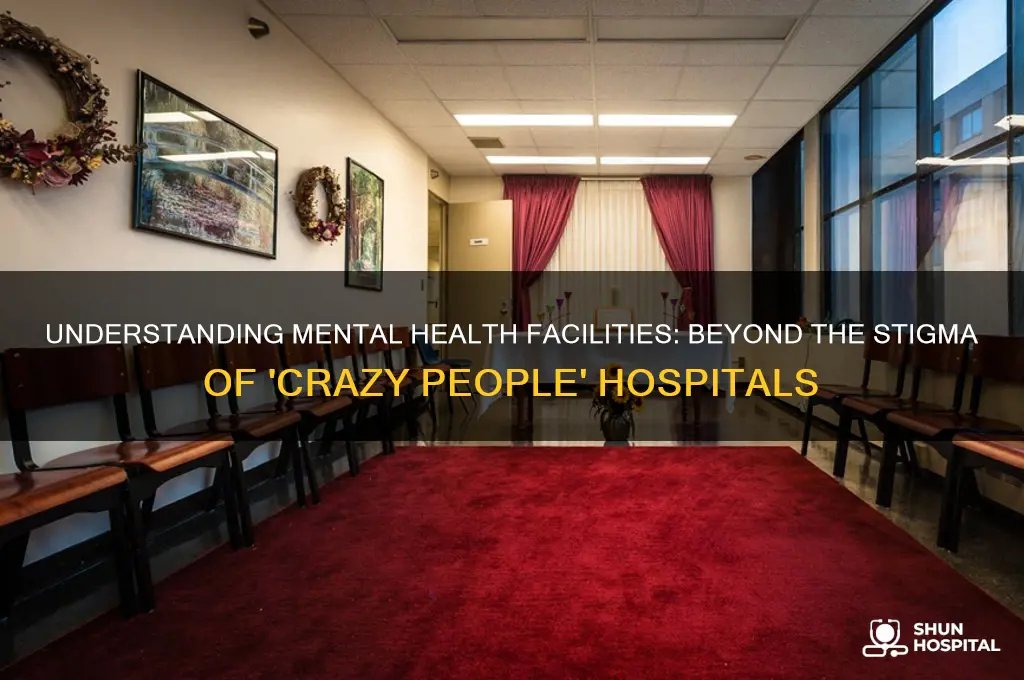 what is the name of the hospital for crazy people
